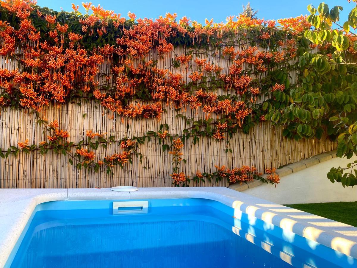 Suite Breeze - Private Heated Pool Málaga Dış mekan fotoğraf